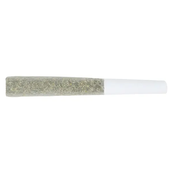 Frozen Cola Pre-Roll (Pre-Rolls) by 3rd Coast Genetics