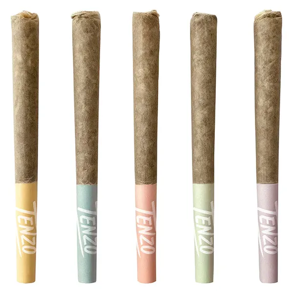 Fun Stix Pre-Roll (Pre-Rolls) by Tenzo