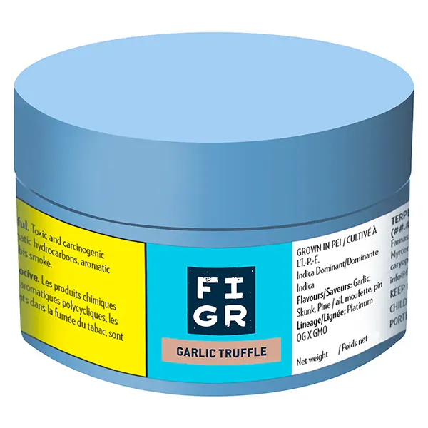 Garlic Truffle (Dried Flower) by FIGR