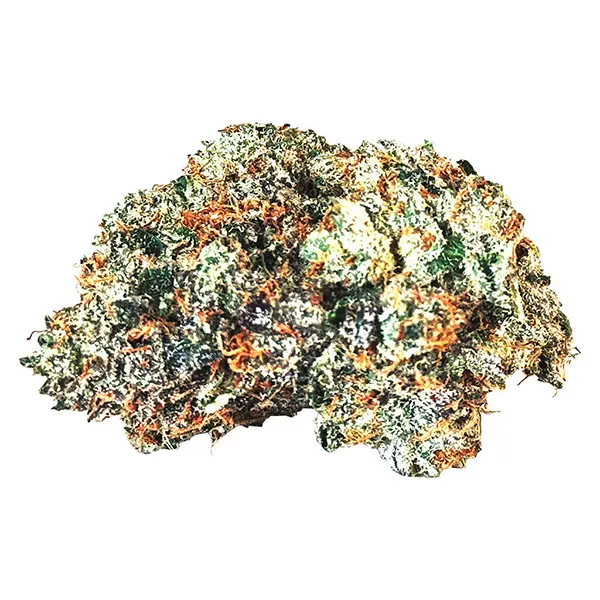 Bud image for Gas n' Up, cannabis all products by MTL Cannabis