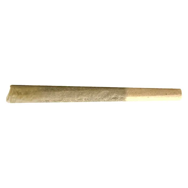 Image for Gas n' Up Pre-Roll, cannabis all products by MTL Cannabis