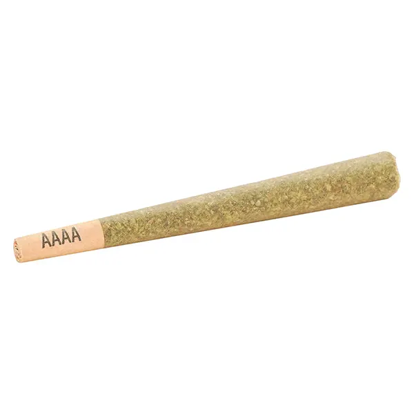 Image for Gelato33 Pre-Roll, cannabis pre-rolls by Lot420