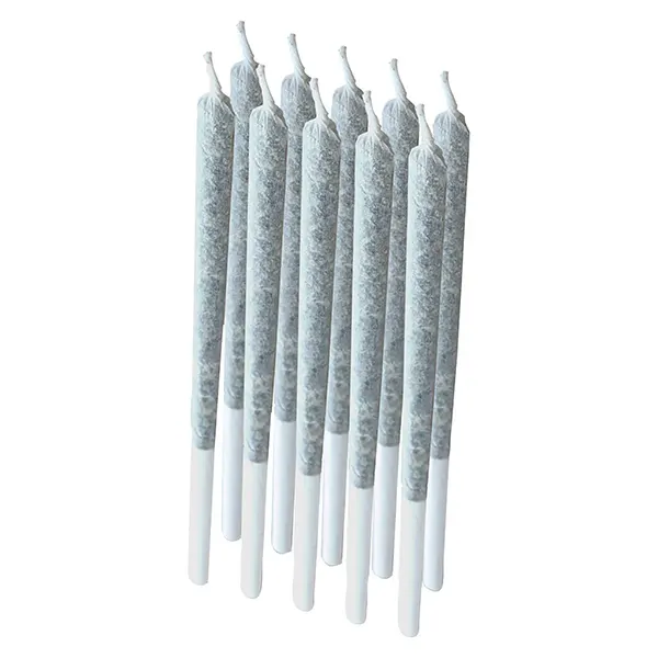 Image for Rogue Pre-Roll