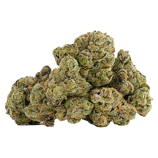 Bud image for Glazed Apricot Gelato, cannabis dried flower by Castle Rock Farms