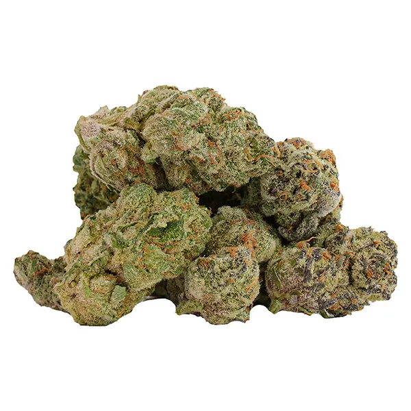 Bud image for Glitterbomb X Rainbow Cheddar 5, cannabis dried flower by Castle Rock Farms