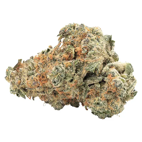 Bud image for GMO Kush Indica, cannabis dried flower by Big Bag O' Buds