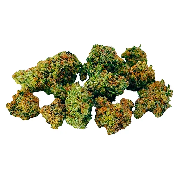 Bud image for Grape Limeade Botanical Buds, cannabis dried flower by Dab Bods