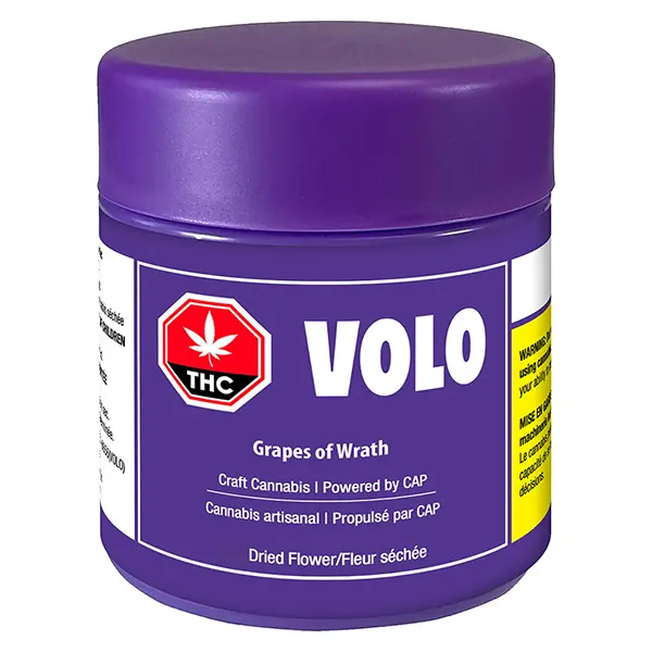 Grapes of Wrath (Dried Flower) by Volo