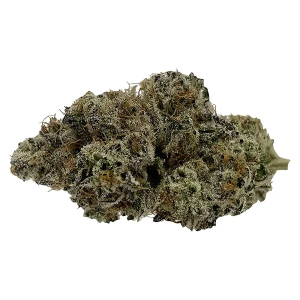 Image for Grease Monkey