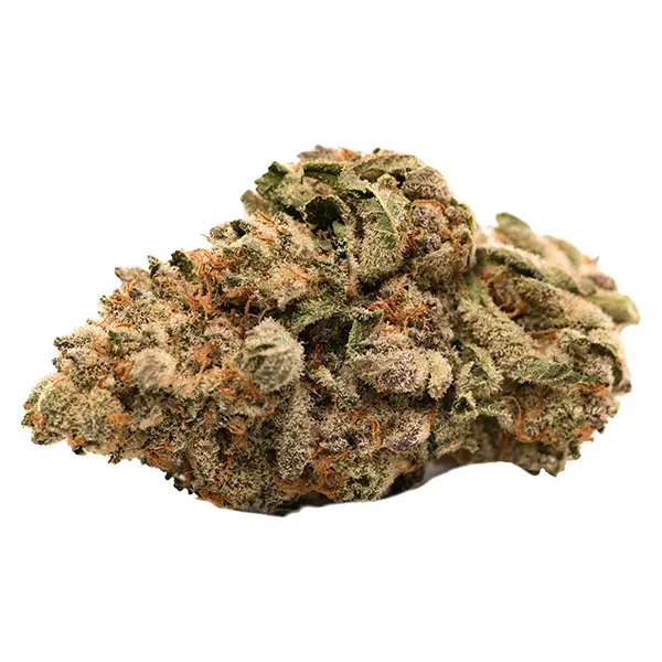 Grease Monkey (Dried Flower) by Happy & Stoned