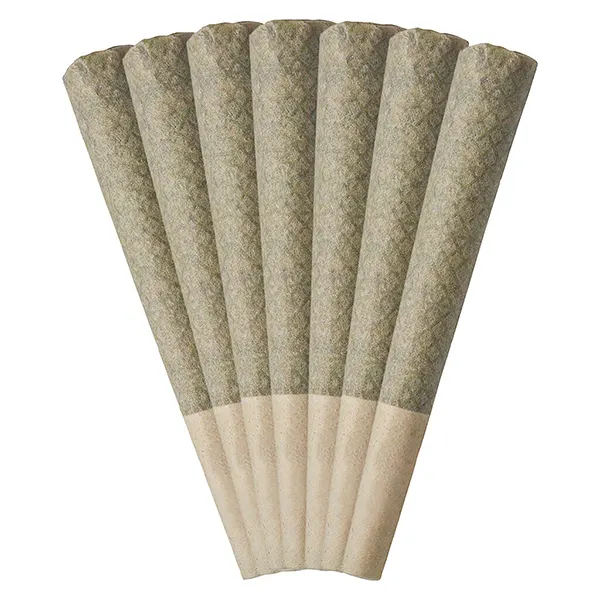 Guava Jam Pre-Roll (Pre-Rolls) by Nugz