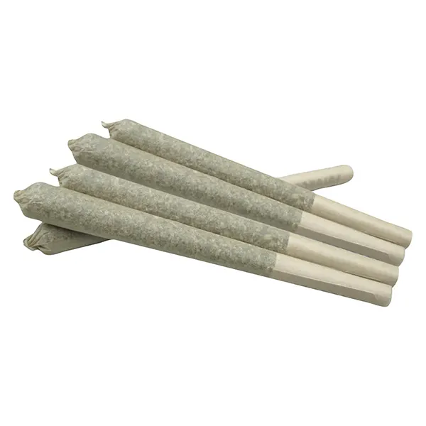 Image for Hawaiian Haze Premium Joints, cannabis pre-rolls by Plush