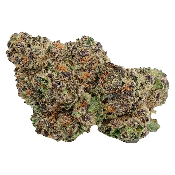 Bud image for Hawaiian Marker, cannabis dried flower by Tuck Shop