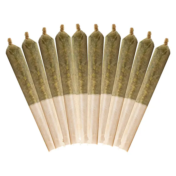 Image for Highbrid Pre-Roll, cannabis all products by Buddy Blooms