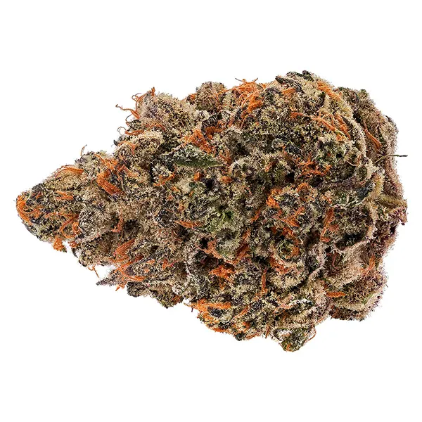 Bud image for Hollywood, cannabis dried flower by Bud Lafleur