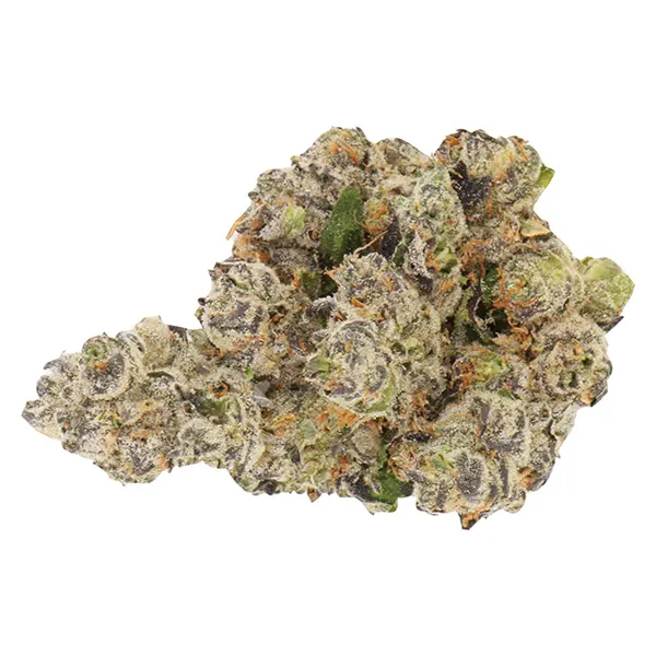 Bud image for Honeycomb Haze, cannabis dried flower by Buzz'd