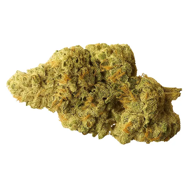 Bud image for Honey OG, cannabis dried flower by Buzz'd