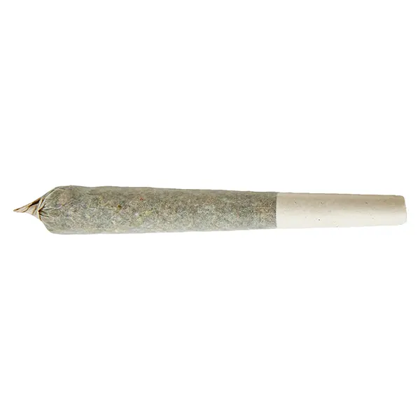Image for Indica Pre-roll