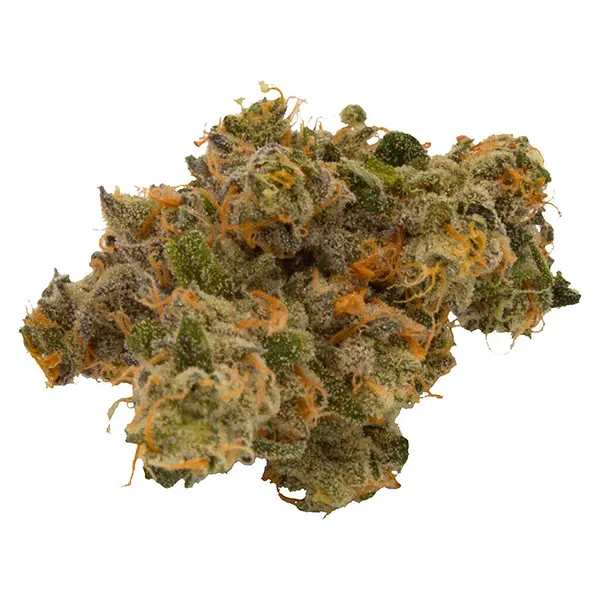 Jealousy x Apples & Bananas (Dried Flower) by Truro