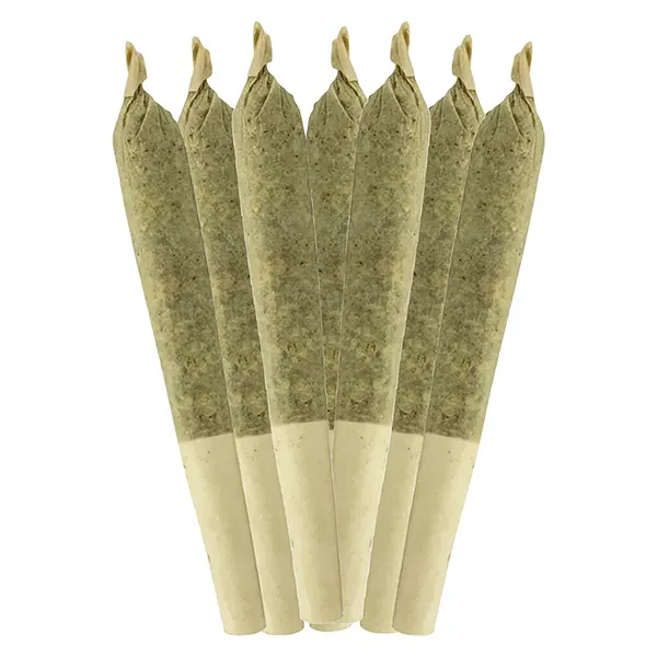 Key Lime Pie Pre-Roll (Pre-Rolls) by Sheeesh!
