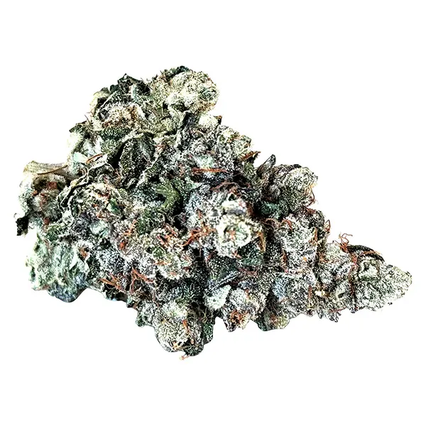 Bud image for Larry, cannabis dried flower by LowKey
