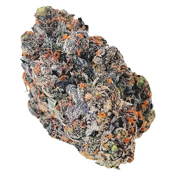 Bud image for Lemon Cherry Sherb, cannabis dried flower by Castle Rock Farms
