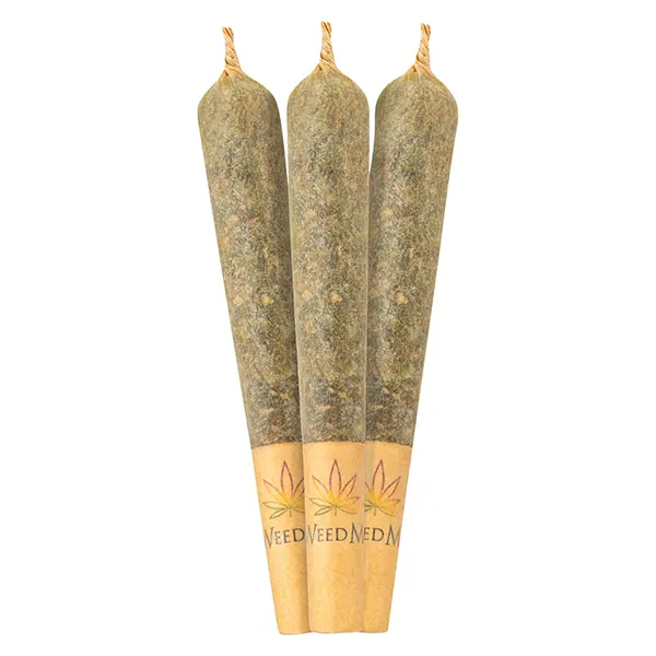 Image for Lemon Margy Pre-Roll, cannabis pre-rolls by Wink