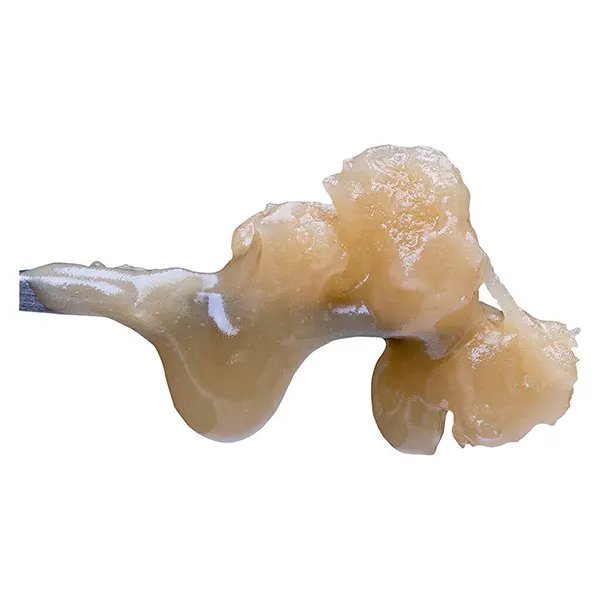 Image for Live Rosin Diamond Jam 73-159, cannabis concentrates, resin, rosin by Sauce Rosin Labs