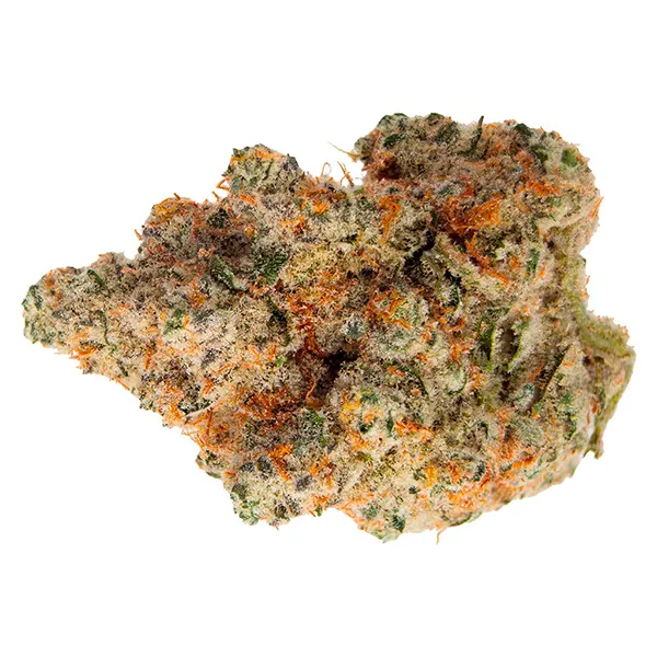 Masterpiece (Dried Flower) by EastCann