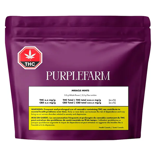 Image for Miracle Mints, cannabis top rated in all products by Purplefarm