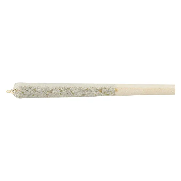 M'mosa Pre-Roll