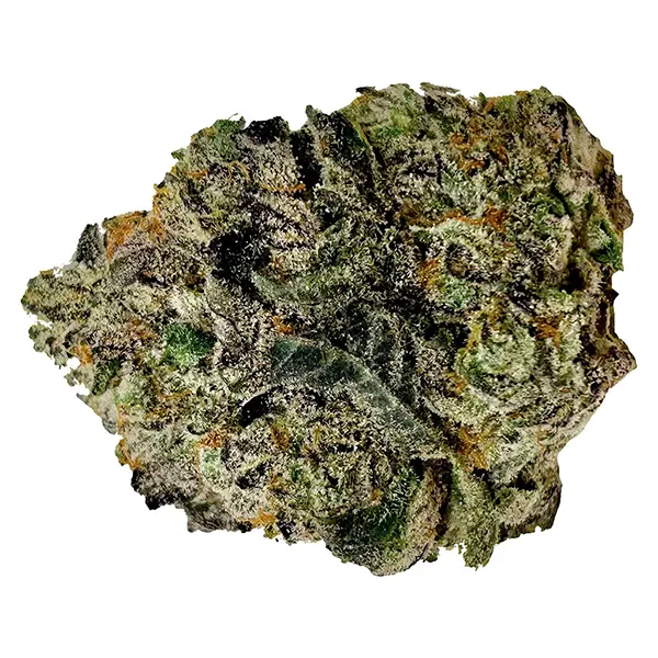 Image for Modified Grapes