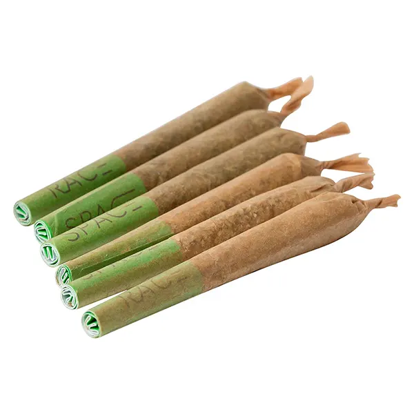 Image for Moonwalkers Pre-Roll