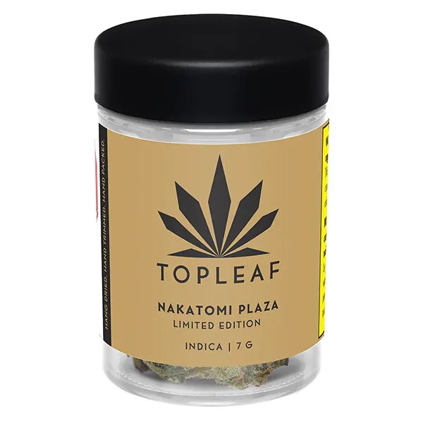 Nakatomi Plaza (Dried Flower) by Top Leaf