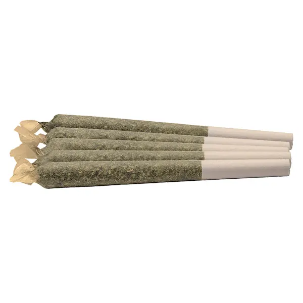 Nightshift High Pre-roll (Pre-Rolls) by Kingsway