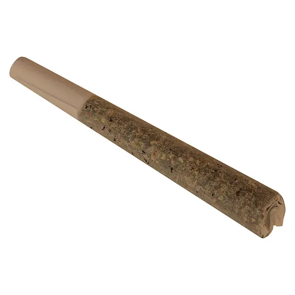 Image for Nostalgia - Aged Sticky Hash Infused Pre-Roll