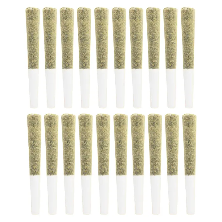 Image for Ops Pre-Roll