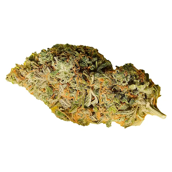 Image for Orange Bud