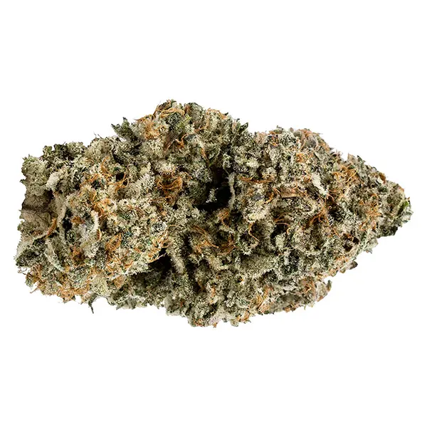 Image for Orange Turp