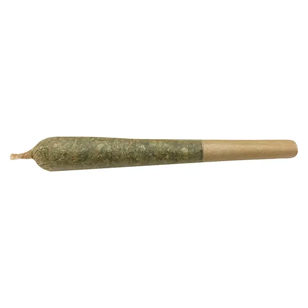 Image for Oreoz X Orange Punch Pre-Roll, cannabis all products by Mailman