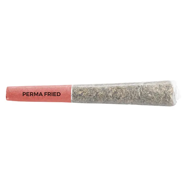 Image for Perma Fried Pre-roll
