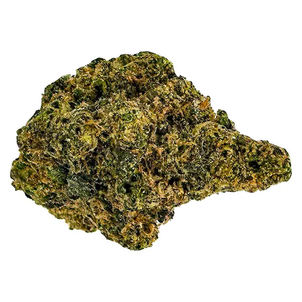 Bud image for Purple Caviar, cannabis dried flower by Skosha