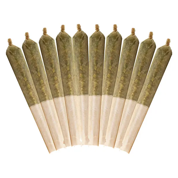 Image for Purple Haze Pre-Roll, cannabis all products by Buddy Blooms