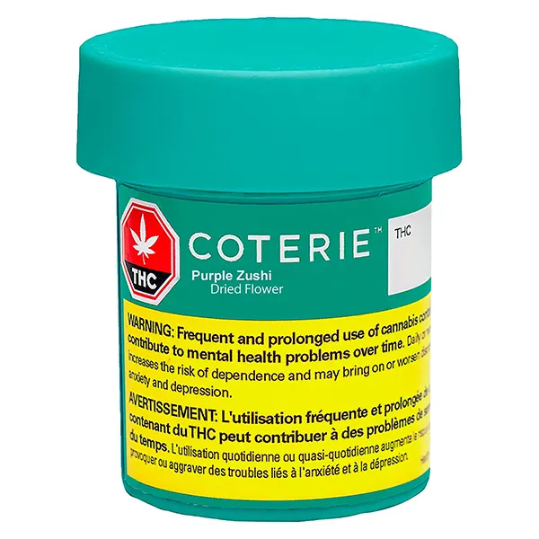 Purple Zushi (Dried Flower) by Coterie