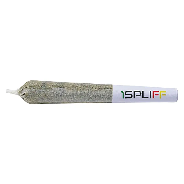Quantum Kush Pre-Roll (Pre-Rolls) by 1Spliff