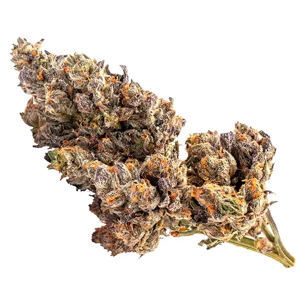 Bud image for Sativa Bag, cannabis dried flower by Baggies