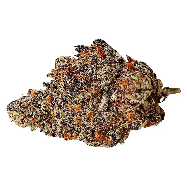 Image for Secret Strains