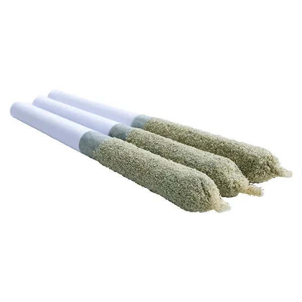Image for Shark Bite Toasters Infused Pre-roll