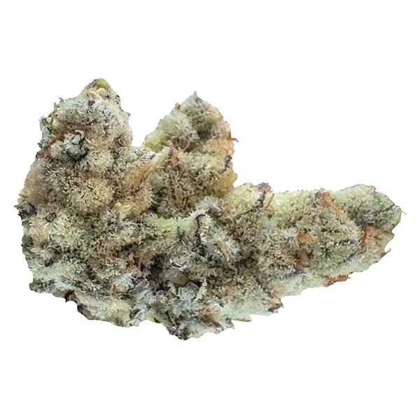 Image for Silicone Cap