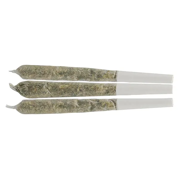 Image for Sour Grapefruit Haze Live Resin Infused Pre-roll